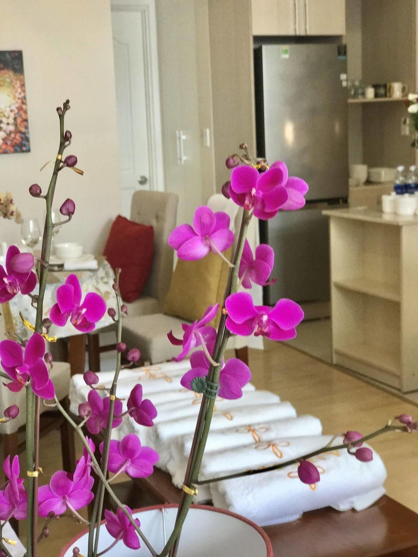 Anada Hotel Suites Đà Lạt Extérieur photo